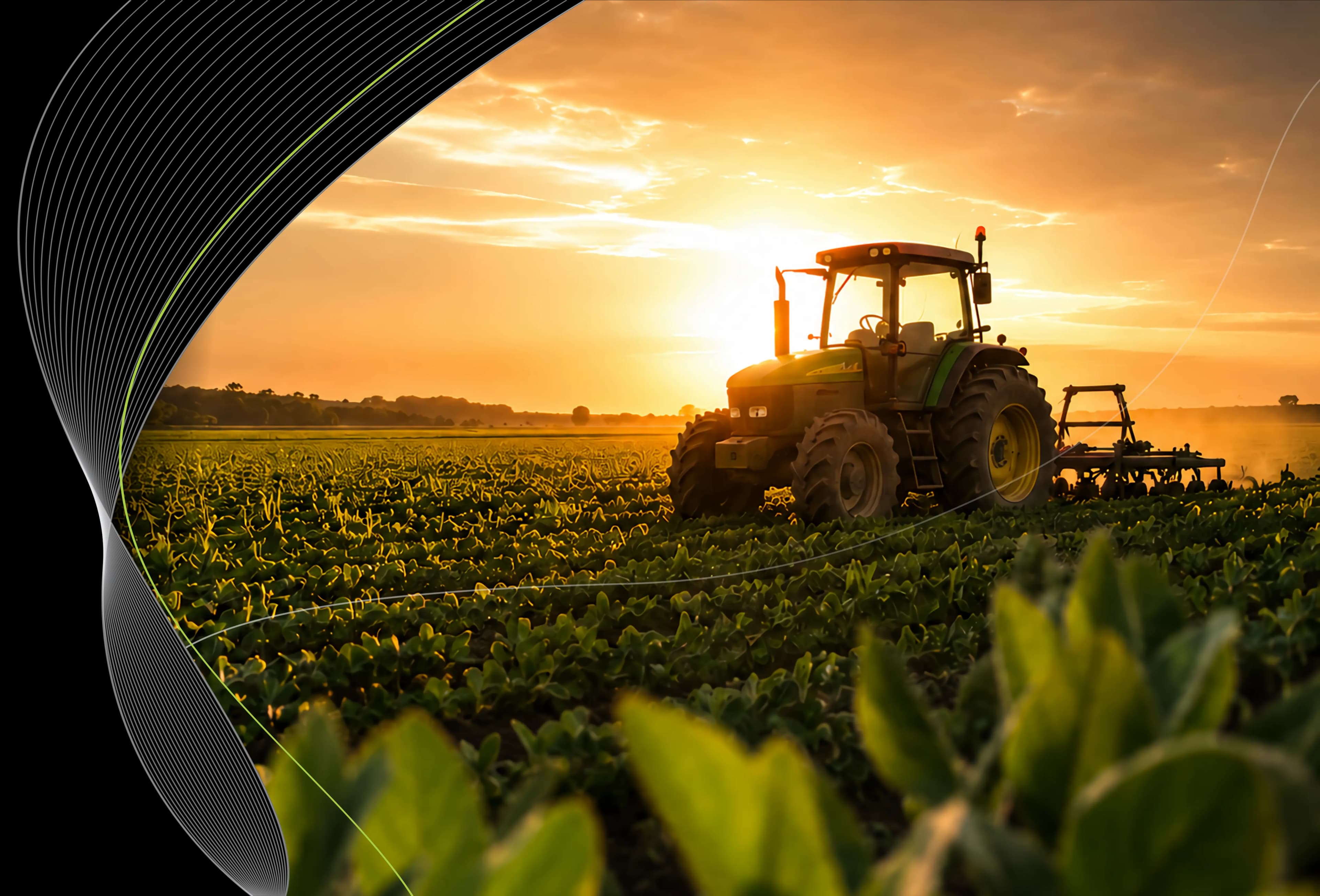 Plantação ao pôr do sol com trator verde no campo